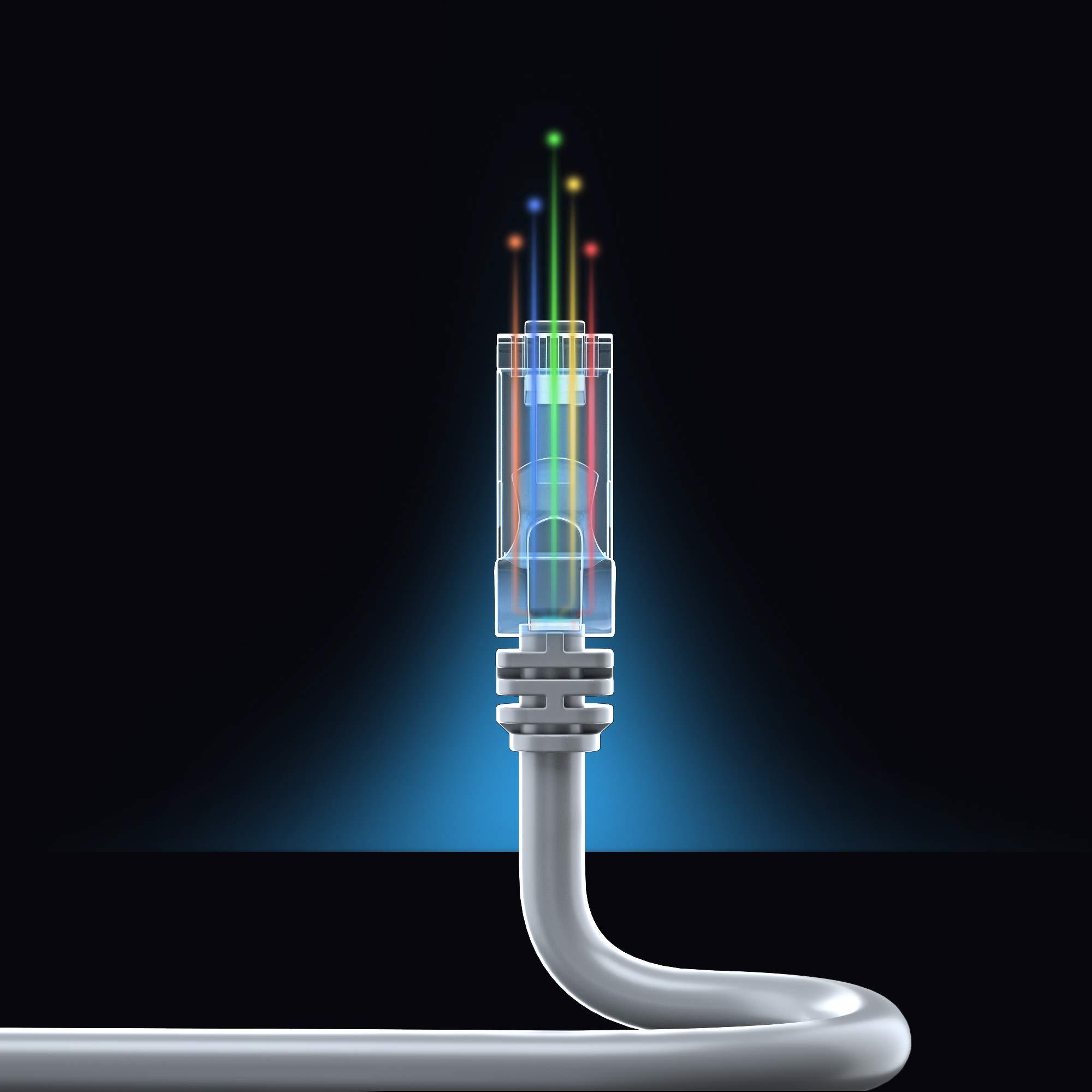 Maximm Maximm Cat 6 Ethernet Cable 50 ft (2-Pack) - High-Speed LAN Cable, Internet Cable, Patch Cable, and Network Cable - UTP, 10Gbps, 550MHz Cat6 Cable - Gray