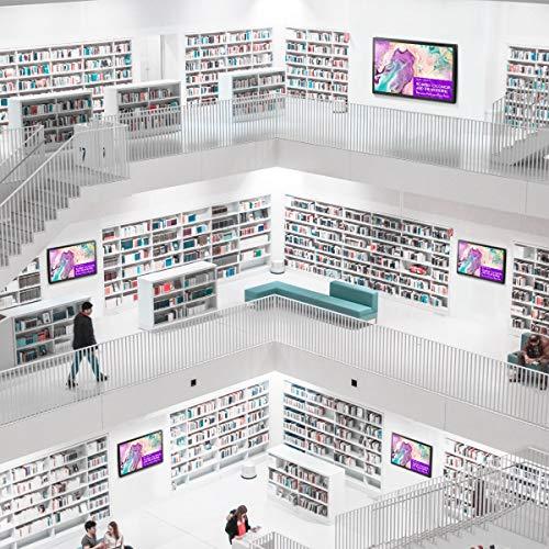 SIIG 1x4 Splitter HDbitT over IP