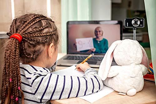 HamiltonBuhl HamiltonBuhl SuperFlix 720p HD Webcam with Gooseneck Stand - Features Built-in Infrared LED Light, 5MP CMOS Sensors and 1080 x 720 Resolution, Silver, Black