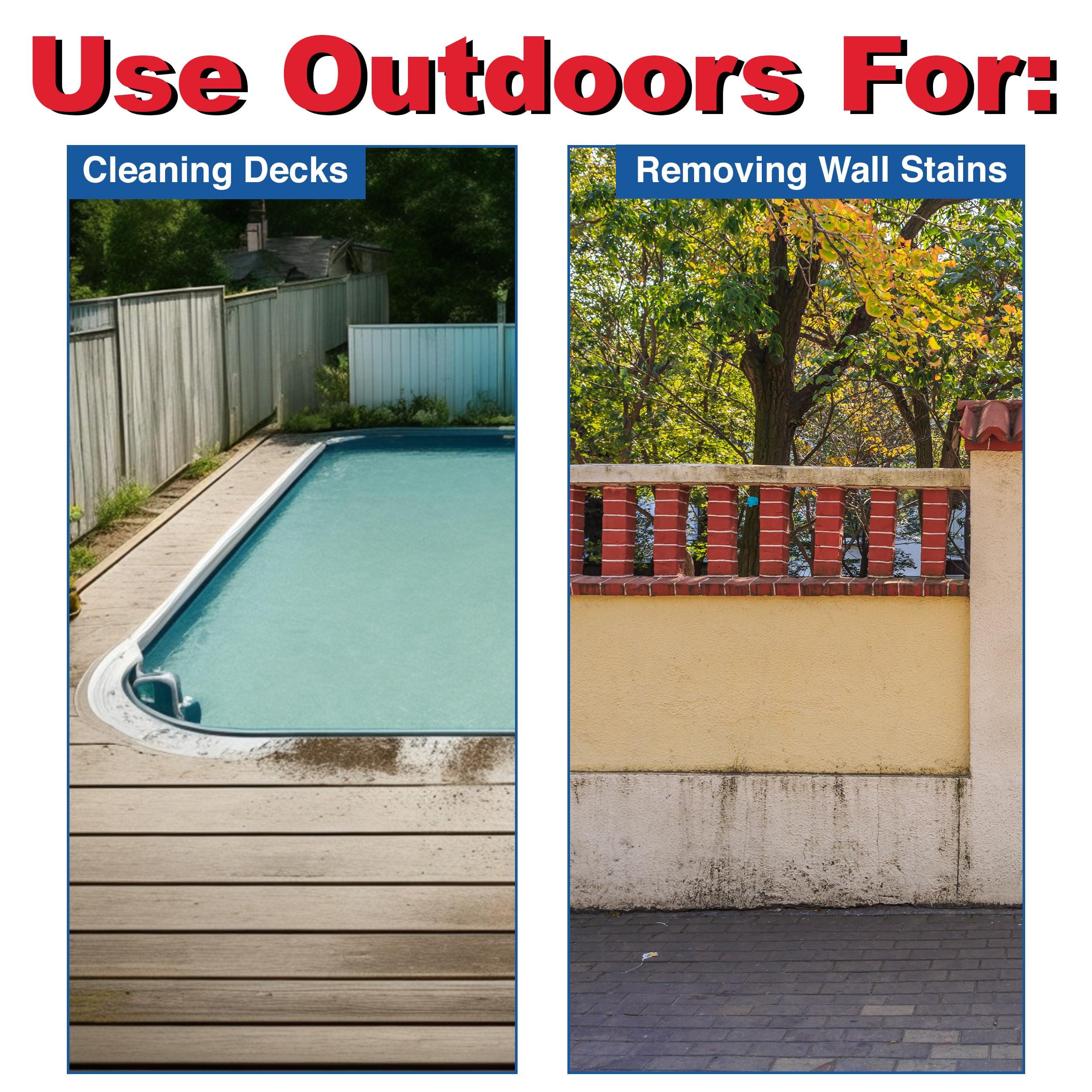 Savogran Savogran 10621 Trisodium Phosphate (TSP) 1LB (16oz)