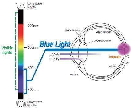 EYES PC EYES PC blue light screen protector panel Universal for 13.3 inch Diagonal Laptop Screen (W 11.88" X H 8.07”). Blue light blocking up to 100 percent of Hazardous HEV Blue Light. Reduces eye strain.