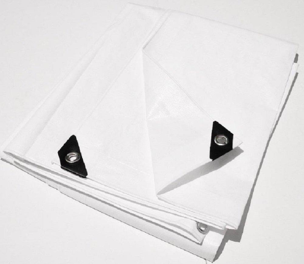 Golden Valley Tools & Tarps 20\' x 30\' Outdoor Standing Home Theater Personal Drive in Projection Movie Screen Kit 1 5/8\" Fittings ~ Pipe NOT Included