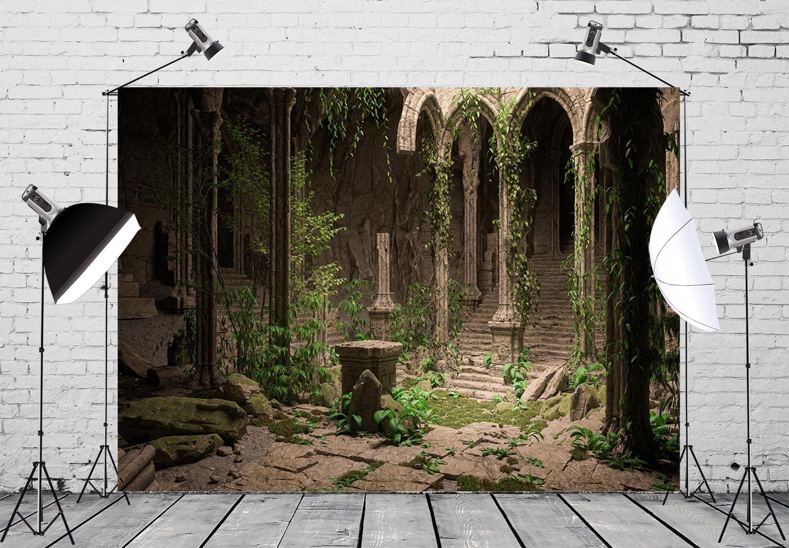 BELECO BELECO 10x8ft Fabric Fantasy Medieval Temple Backdrop for Photography Dark Mysterious Gothic Palace Castle Ruins Stairs Stone Arches Overgrown with Ivy Background for Party Decor Photo Studio Props