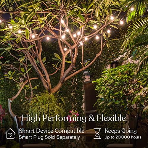 Brightech Brightech Ambience Pro LED String Lights - 26 Ft Commercial Grade Patio Lights Outdoor Waterproof - Globe Porch String Lights for Outside, Backyard - 1W Vintage Edison Bulbs, Shine Bright, White