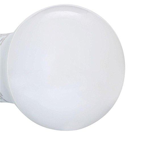 PHILIPS Philips LED Non-Dimmable A19 Frosted Light Bulb: 1500-Lumen, 5000-Kelvin, 14-Watt (100-Watt Equivalent), E26 Medium Screw Base, Daylight, 4-Pack, 455717