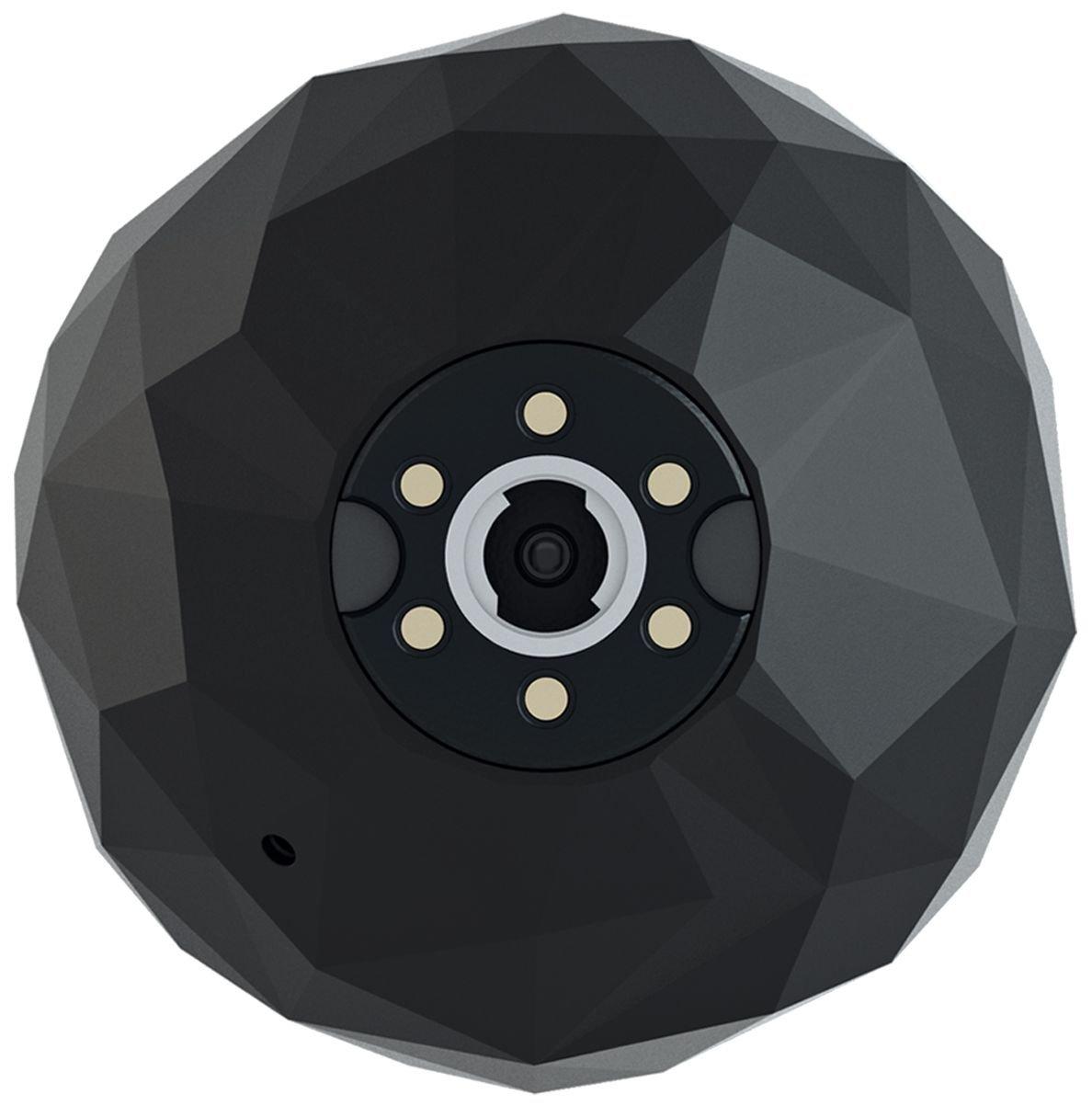 360fly 360fly 4K VR Capable Action Video Camera Professional Camcorder, Black (360fly 4K)