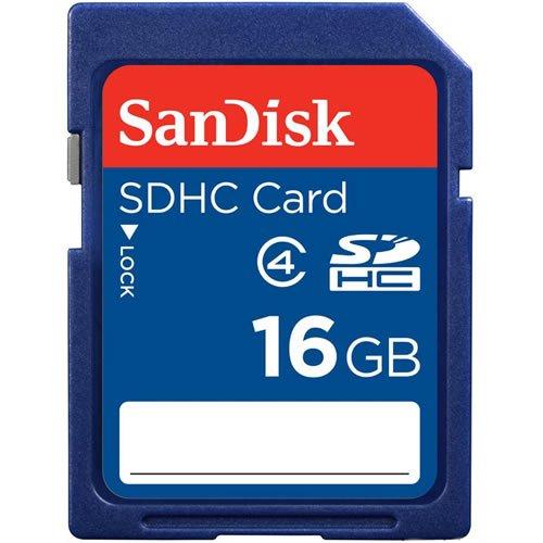 SanDisk SanDisk 16GB (10 Pack) SDHC Class 4 Flash Memory Card SDSDB-016G Bundle with (1) GoRAM Card Reader