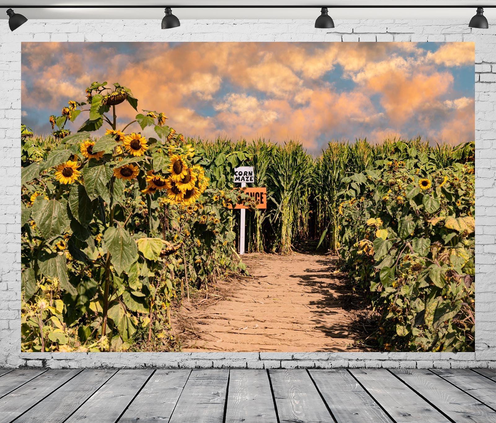 Loccor Loccor 7x5ft Fabric Green Corn Field Backdrop Sunset Cornfield Path Entrance Plant Crops Maize Background Fall Harvest Party Decorations Countryside Farmland Natural Scenery Photo Booth Props