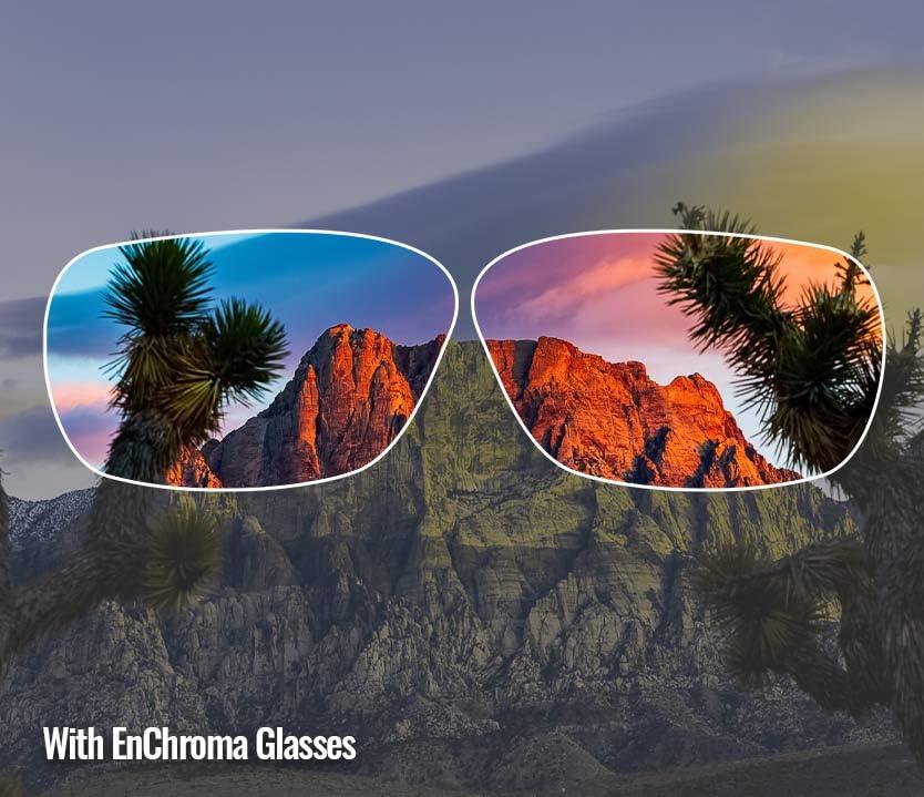 Enchroma Enchroma Color Blind Glasses - Avalon - Color Correcting & Enhancing Glasses Outdoor Use for Protan Color Blindness