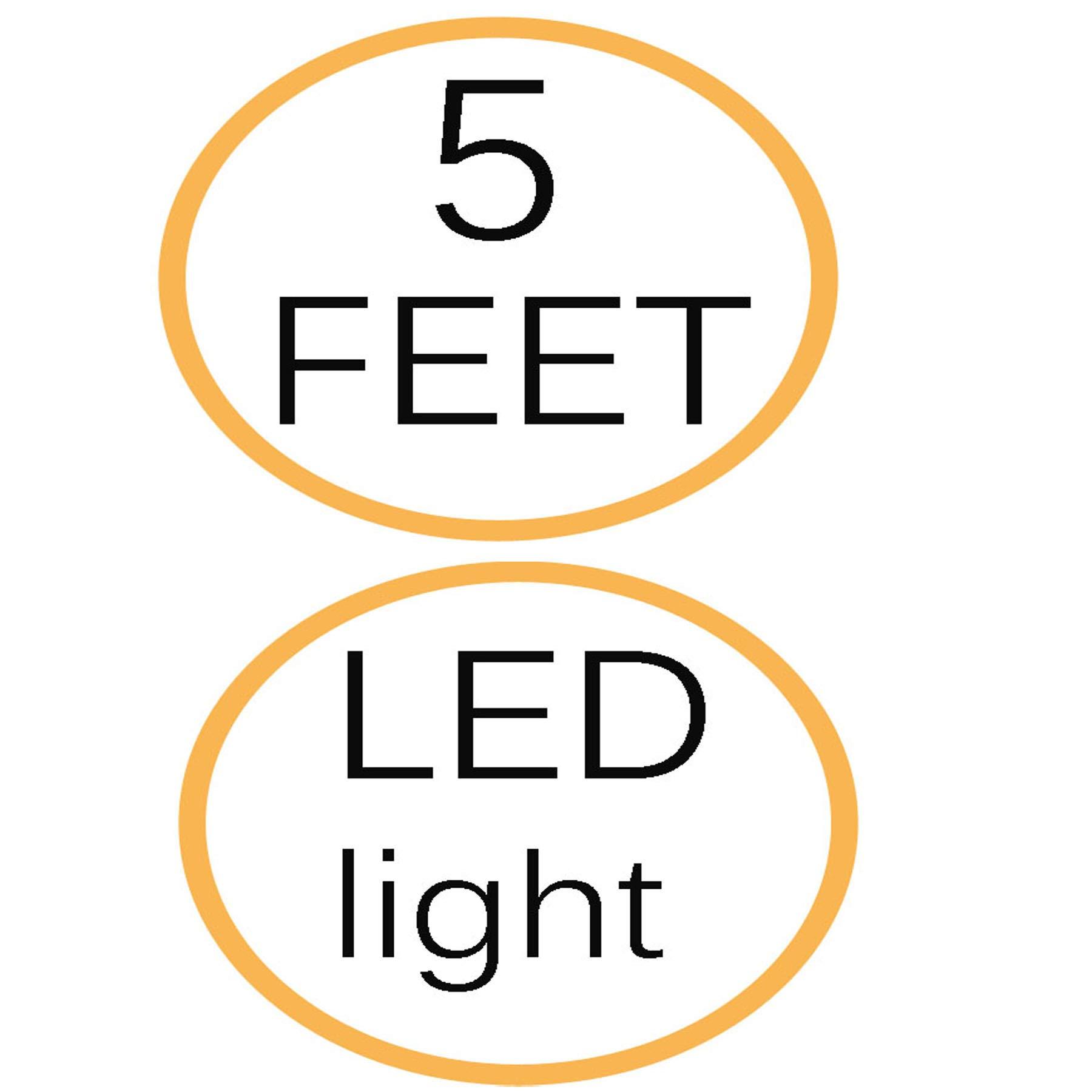 GUY-TECH AC/DC Adapter for Air Hawk Pro Automatic Cordless Tire Inflator Airhawk Pro Portable Compressor Pump Air DC Power Supply Charger Cord Cable, 5 Feet, with LED Indicator, Compatible Replacement