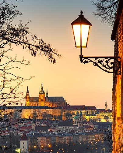 Spolico Dusk to Dawn LED Lights Bulb,Photocell Sensor Bulb, Auto Turn On/Off, ST58 ST19 60W Edison Replacement, E26 8W 800lm,Warm White 2700K for Outdoor Wall Light Fixture Garden Garage Porch Pack of 2