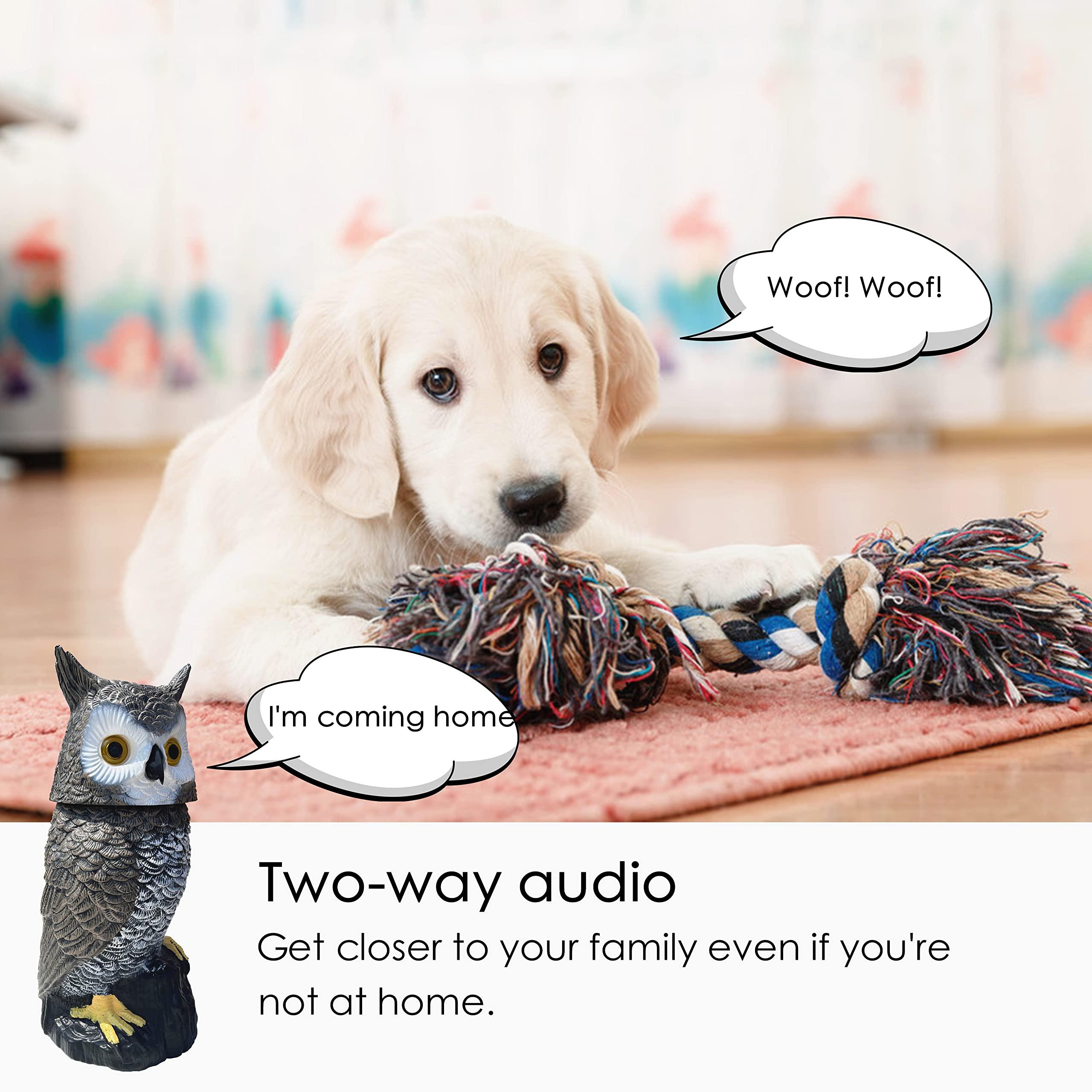 Ugold Ugold Indoor Camera Owl, Home Security Camera Owl with Rotatable Head, Night Vision, 2-Way Audio, Works with Phone, Decoration for Home