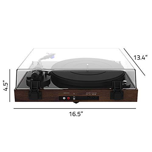 Fluance Fluance RT84 Reference High Fidelity Vinyl Turntable Record Player with Ortofon 2M Blue Cartridge, Speed Control Motor, Record Weight, 3 in 1 Stylus and Record Cleaning Vinyl Accessory Kit