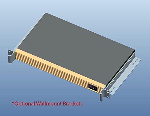 iStarUSA iStarUSA D Value D-118V2-ITX 1U Rackmount Mini-ITX Server Chassis (Black)