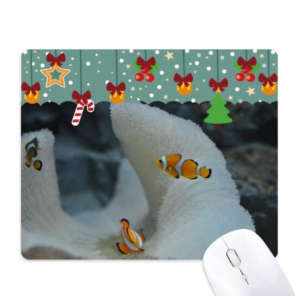 Cable Communications RG6 Coaxial Cable with F Connectors, High Speed Internet and TV Cord for HD TV, Xfinity, Satellite, Antenna, Cable Extension, WiFi Modem Cable (White, 5ft)