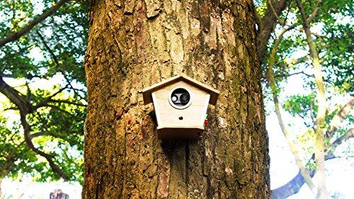 Brinno Brinno MAC200DN Portable Motion Activated Wireless Outdoor Security Camera (Black)