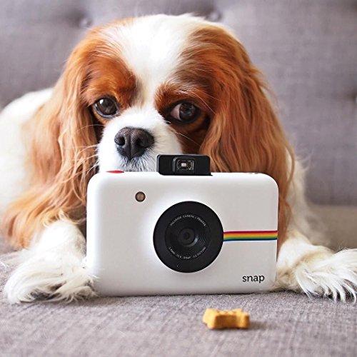 Zink Zink Polaroid Snap Instant Digital Camera (White) with ZINK Zero Ink Printing Technology