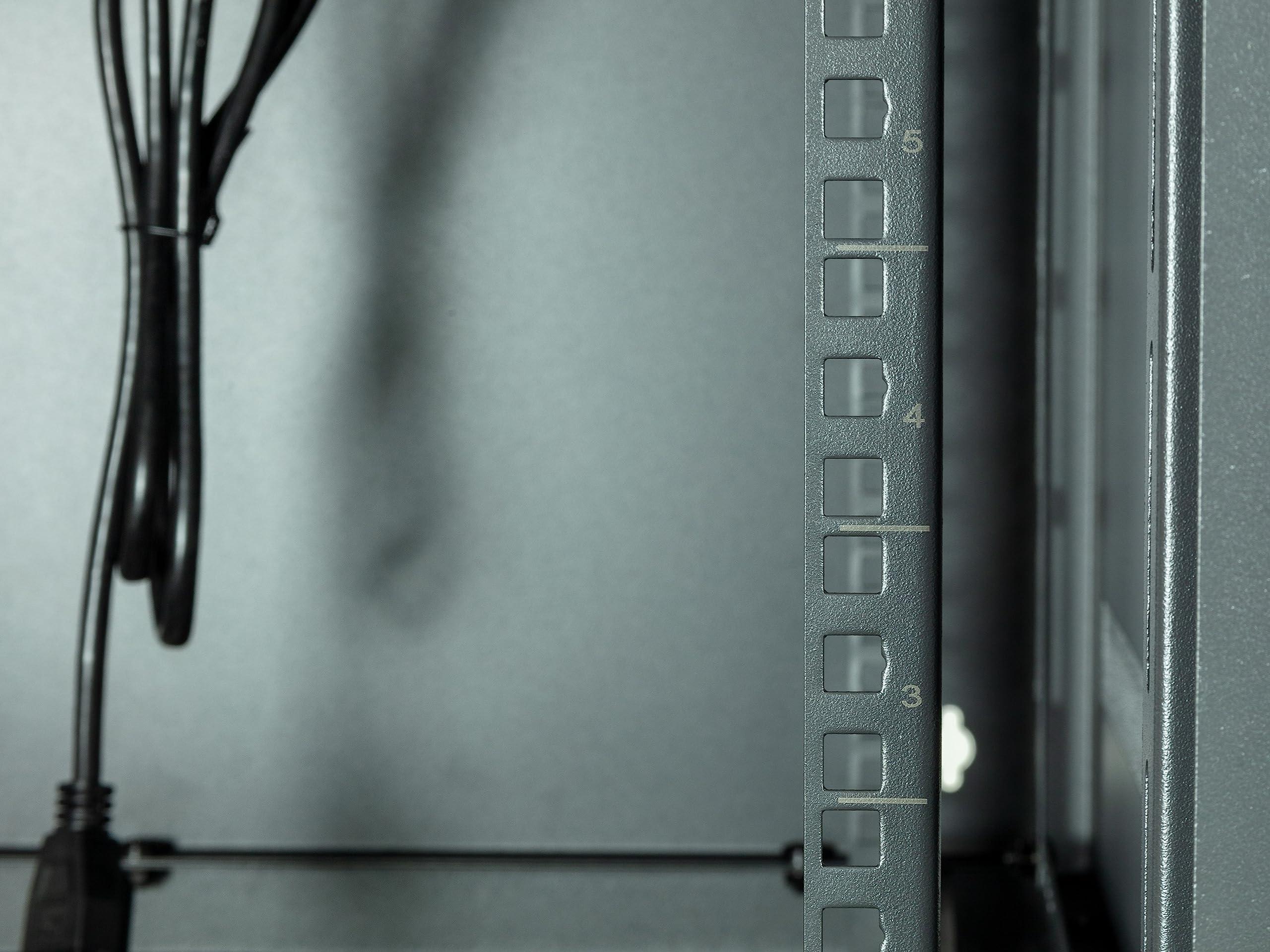 Networx Networx 12U Swing Out Wall Mount Server Cabinet - 24 Inch Depth, Acrylic Door, Flat Packed