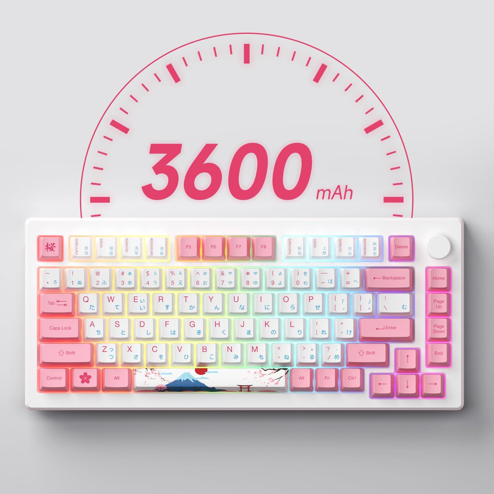 Akko Akko Magnetic Switches Rapid Trigger Gaming Keyboard, MOD007B HE PC World Tour Tokyo Wired/Wireless 75% 8k Polling Rate Mechanical Keyboard with Knob, RGB Backlit Creamy Yellow Magnetic Switch
