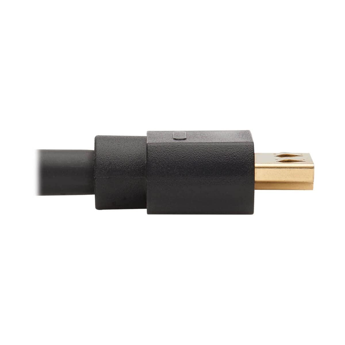 Tripp Lite Tripp Lite DisplayPort to HDMI Adapter Active DP 1.2A to HDMI 2.0 M/10ft (P582-010-4K6AE), 10 Feet