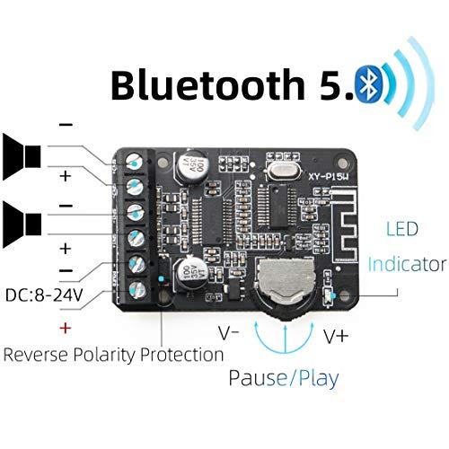 DAMGOO DAMGOO Audio Amplifier Board with BT 5.0, 10W 15W 20W 2.0 Dual Channel Stereo Wireless Mini Amp Module with Protective Shell