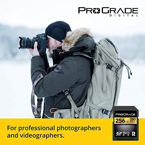 ProGrade Digital SD UHS-II 256GB Card V60 Up to 130MB/s Write Speed and 250 MB/s Read Speed | for Professional Vloggers, Filmmakers, Photographers & Content Curators by Prograde Digital