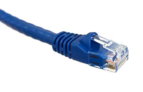 MICRO CONNECTORS Micro Connectors, Inc. 100 feet Cat 6 Molded UTP Snagless RJ45 Networking Patch Cable - Blue (E08-100BL)