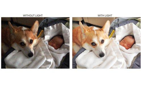 Digital Nc LED High Power Video Light (Super Bright) Compatible with Canon VIXIA HF R300 (Includes Mounting Brackets)