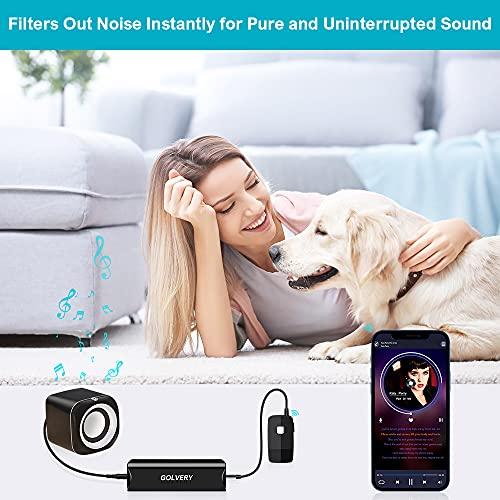 Golvery Golvery Ground Loop Noise Isolator, Auido Humming Hissing Buzzing Noise Filter Eliminator for Car Audio, Home, PC Stereo System with 3.5mm or RCA Aux Jack