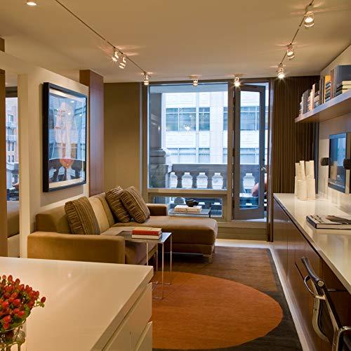 WAC Lighting WAC Lighting L Track 6FT Single Circuit Field Cuttable 120V Track for L Style 2-Wire Track Fixtures with 2 Endcaps in Brushed Nickel