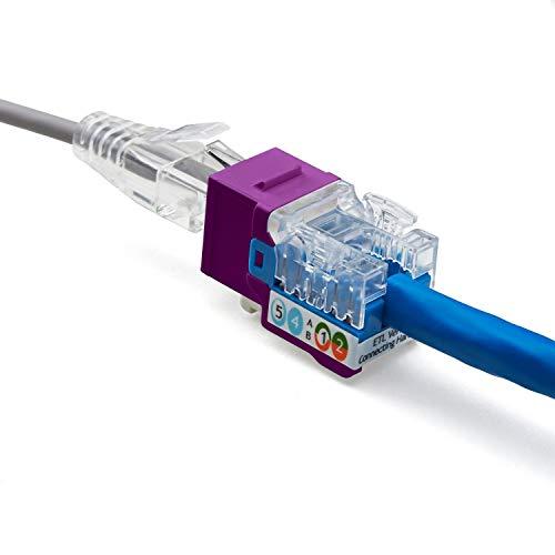 TRUE CABLE trueCABLE Cat6 Keystone Jack, Unshielded (UTP), 90 Degree Punch-Down, PoE++ (4PPoE) 100W, UL Listed, ETL Verified, ANSI/TIA Certified, Modular RJ45 Female, Purple, 12 Pack