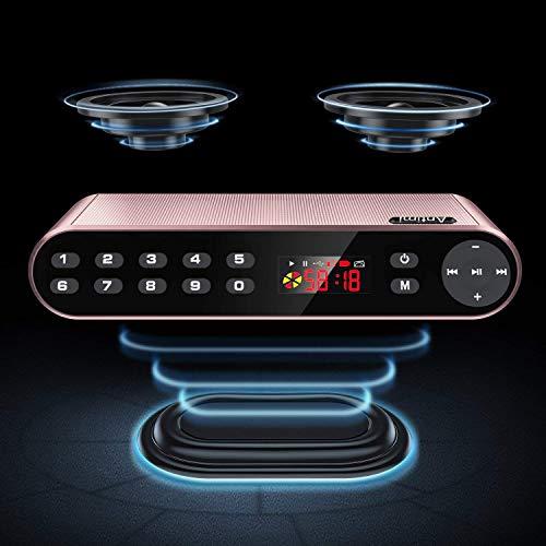 Antimi Antimi Bluetooth Speaker,FM Radio Player,MP3 Player Stereo Portable Wireless Speaker Drivers with HD Sound, Built-in Microphone, High Definition Audio and Enhanced Bass(Black) (Pink)
