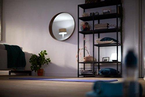 Philips LED Philips 462168 LED Bulb 8 Pack 60 Watt Equivalent, Daylight (5000K) A19 Non Dimmable, Medium Screw Base