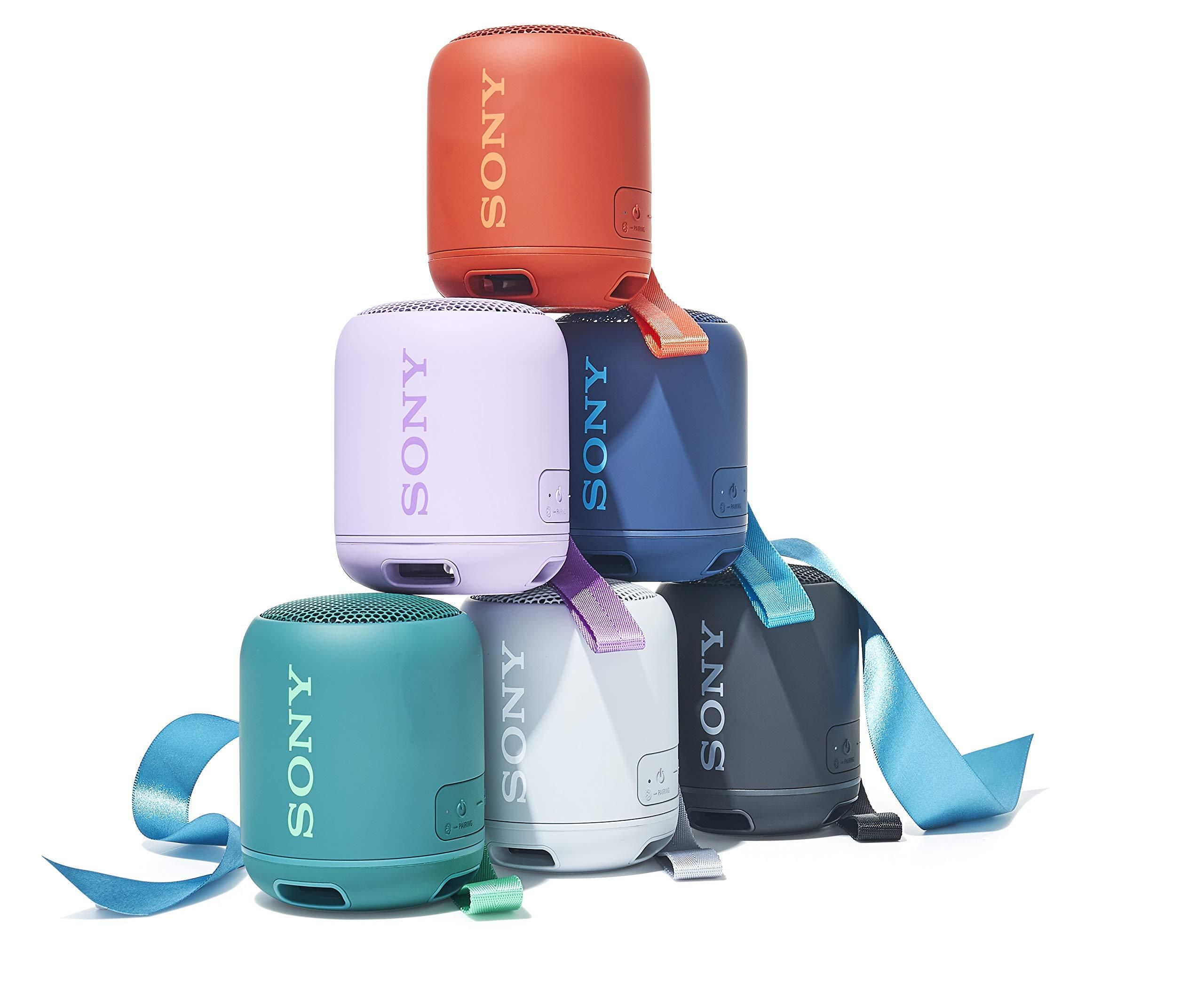 Sony Sony Portable Bluetooth Speaker - Black (Renewed)