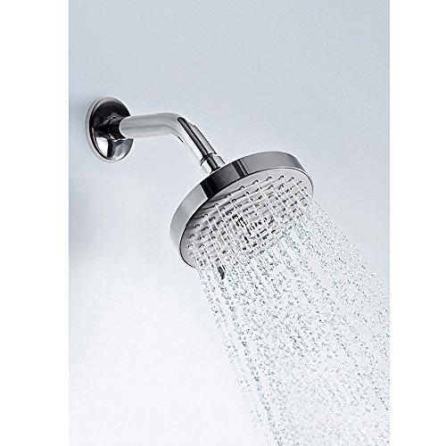 hansgrohe hansgrohe 27495001 Raindance Showerhead, 2.88 x 5.38 x 5.38 Inches, Chrome