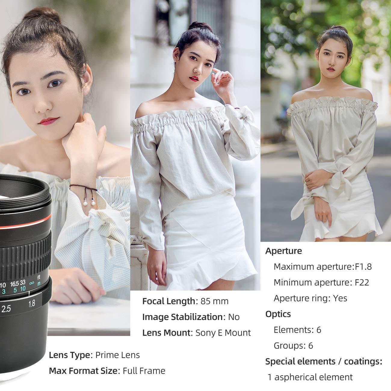 Lightdow 85mm F1.8 Portrait Lens - Medium Telephoto Manual Focus SLR Cameras Lens for Sony Alpha A9 A7R A7S A7 A6500 A6400 A6300 A6000 A5100 A5000 NEX-7 NEX-6 NEX-5T NEX-5R
