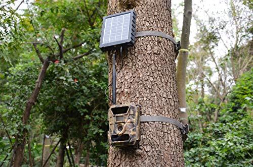 WingHome WingHome 6V Power Cable, Male to Male 5.5x2.1mm Plug