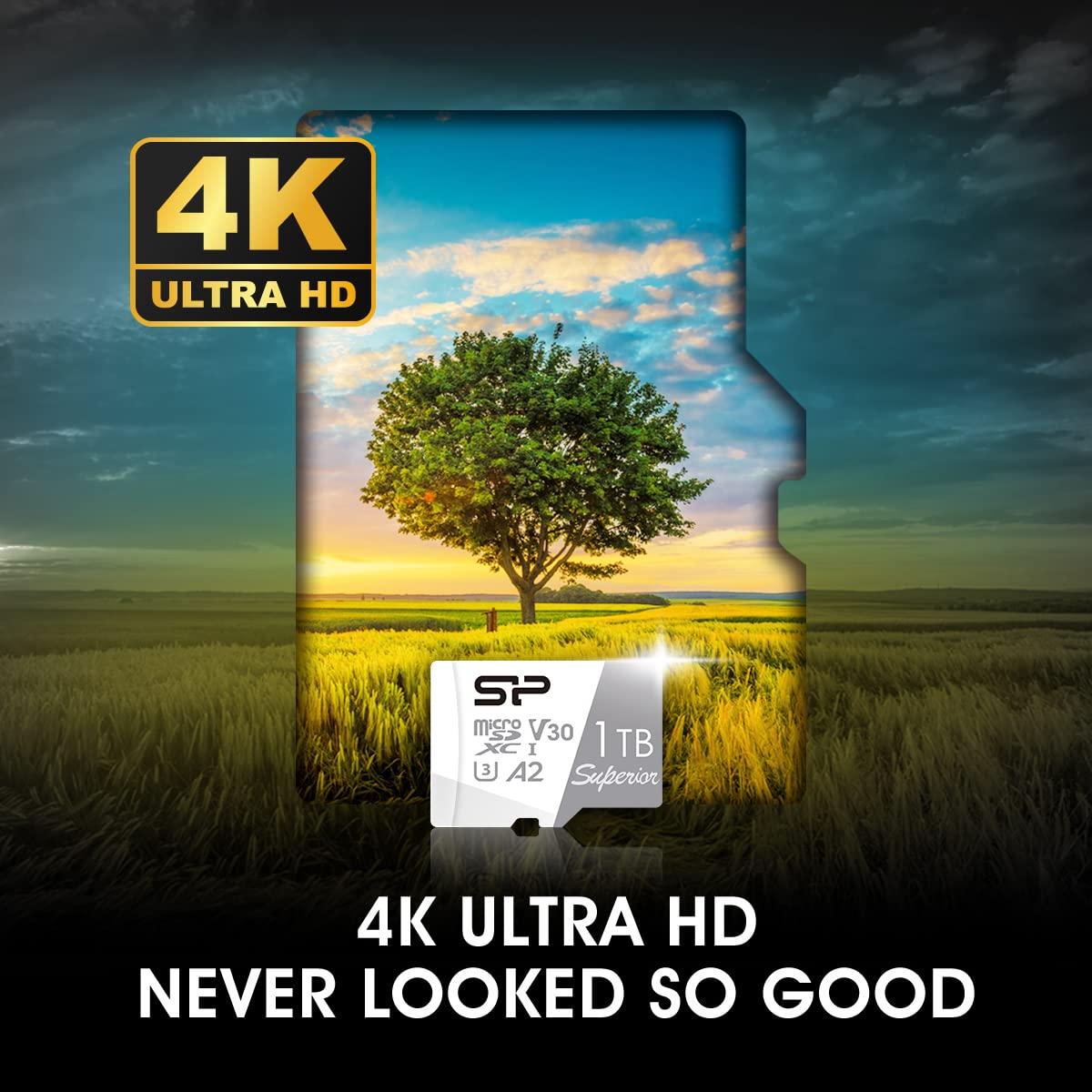 SP Silicon Power SP Silicon Power MicroSD 256GB (Nintendo Switch Operation Verified) 4K Compatible, UHS-I U3 V30 A2 Standard Ultra HD Maximum Speed 100MB/s SP256GBSTXDA2V20SP