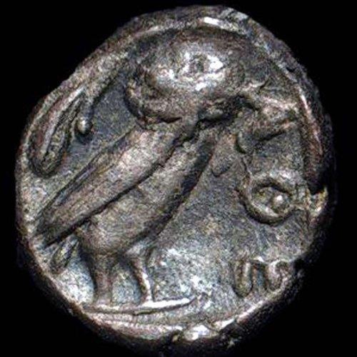 AmScope Sharp Forward Stereo Microscope 10X-30X