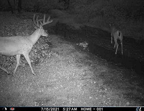 Cuddelink Cuddelink Cuddeback 1 L Home Unit Powered by Verizon or AT&T 2 Long Range IR Cameras L Series 3 16GB SD Cards 1 Hat New