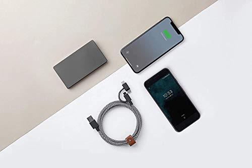Native Union Native Union Belt Cable Universal - 6.5ft Ultra-Strong Reinforced [MFi Certified] Durable Charging Cable with 3-in-1 Adaptor for Lightning, USB-C and Micro-USB Devices (Zebra)