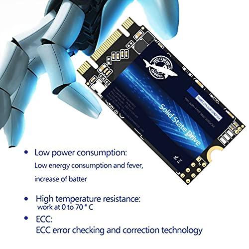 THREE COLOUR DOGFISH Dogfish M.2 2242 SSD 250GB 3D NAND TLC SATA III 6 Gb/s, Internal Solid State Drive - Compatible with Desktop PC Laptop (M.2 2242 250GB)