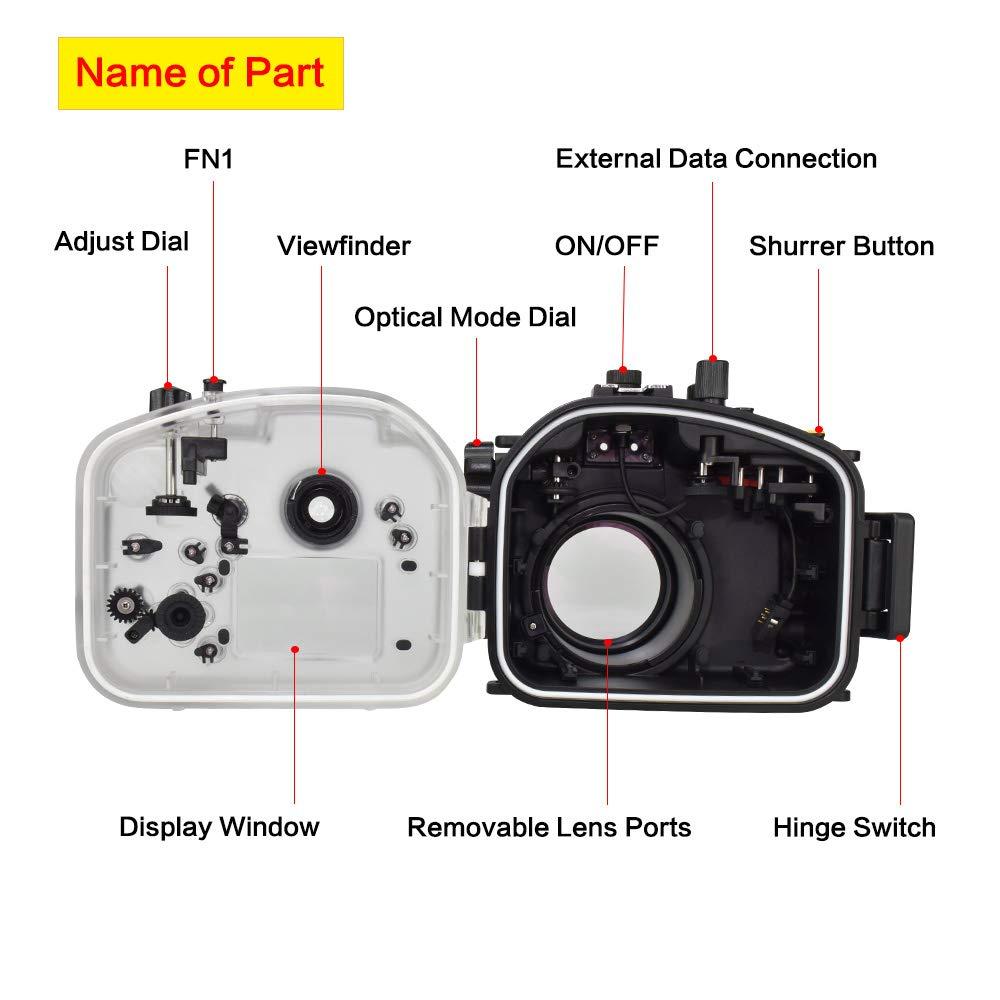 Sea frogs Sea frogs Underwater Camera Housing Compatible with Panasonic GH5 12-60mm IPX8 40m/130ft Maximum Diving Depth Waterproof Camera Case for Diving, Surfing, Rowing