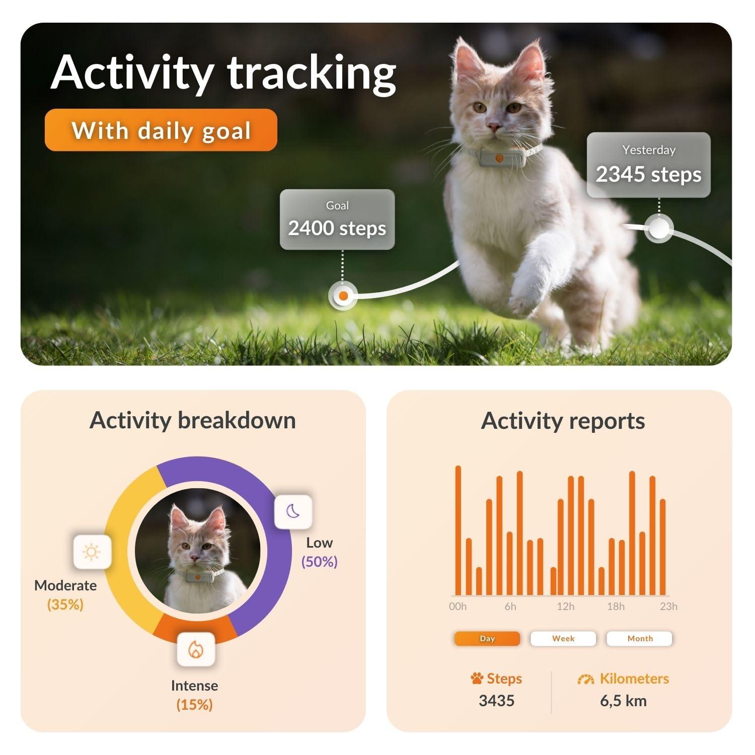Weenect Weenect Cat XS - New GPS Tracker for Cats | Real-time Mini GPS Tracker for Cats | Smallest Model on The Market | Collar Included | Including Free 3 Months Subscription
