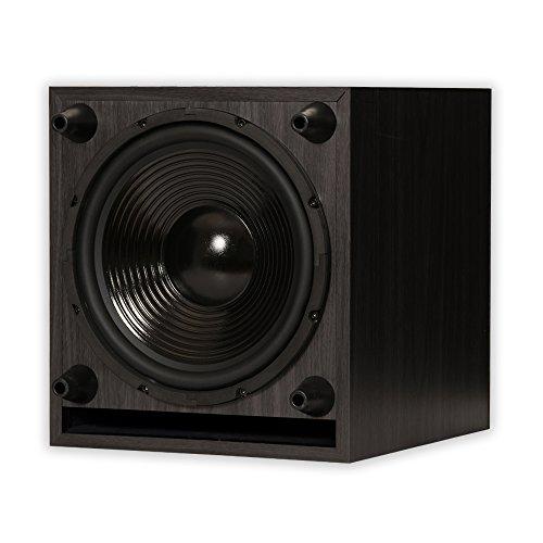 Acoustic Audio by Goldwood Acoustic Audio PSW-10 400 Watt 10-Inch Down Firing Powered Subwoofer (Black)