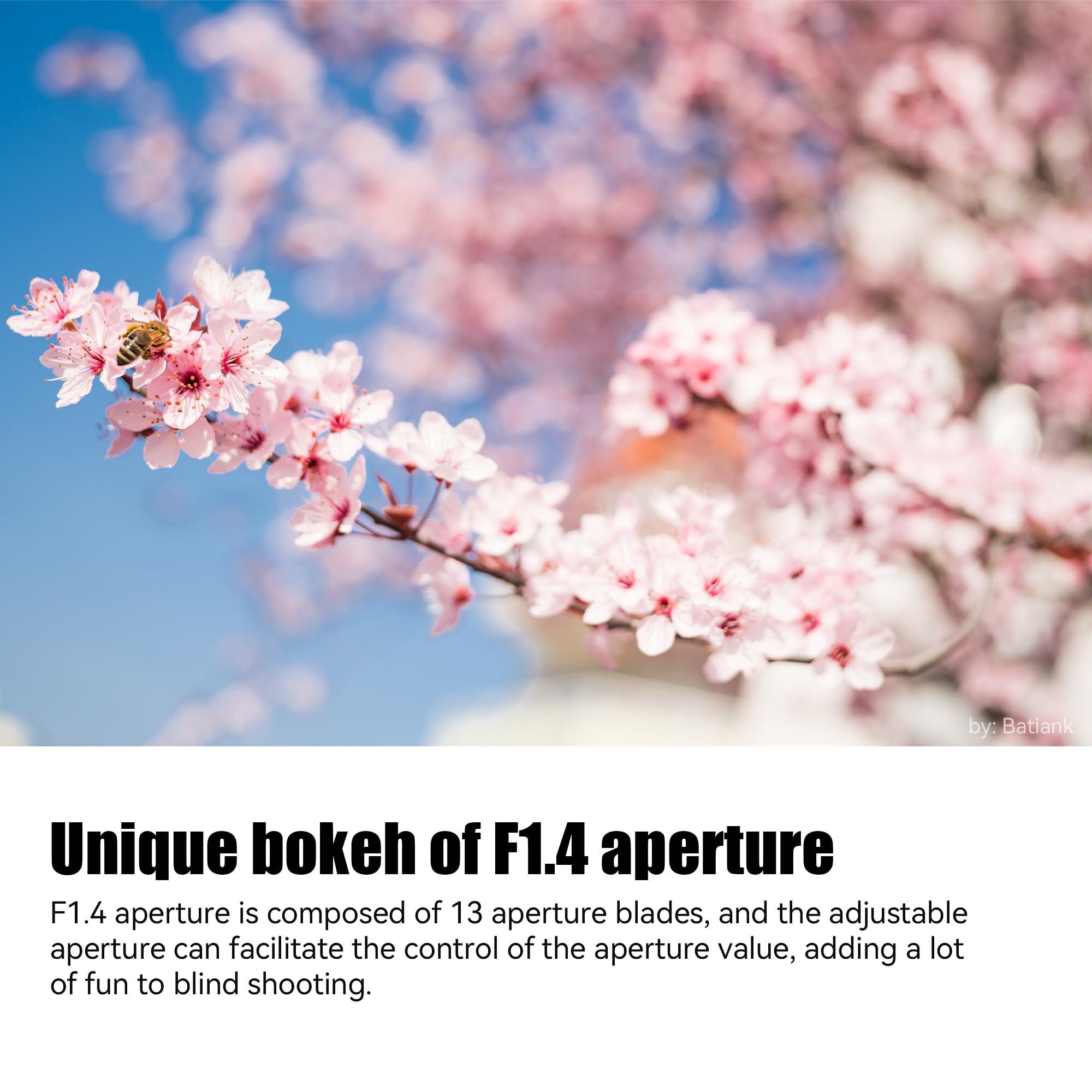 7artisans 7artisans 28mm F1.4 Compatible for Leica M-Mount Cameras Like Leica M-M Leica M240 M3 M6 M7 M8 M9 M9p M10