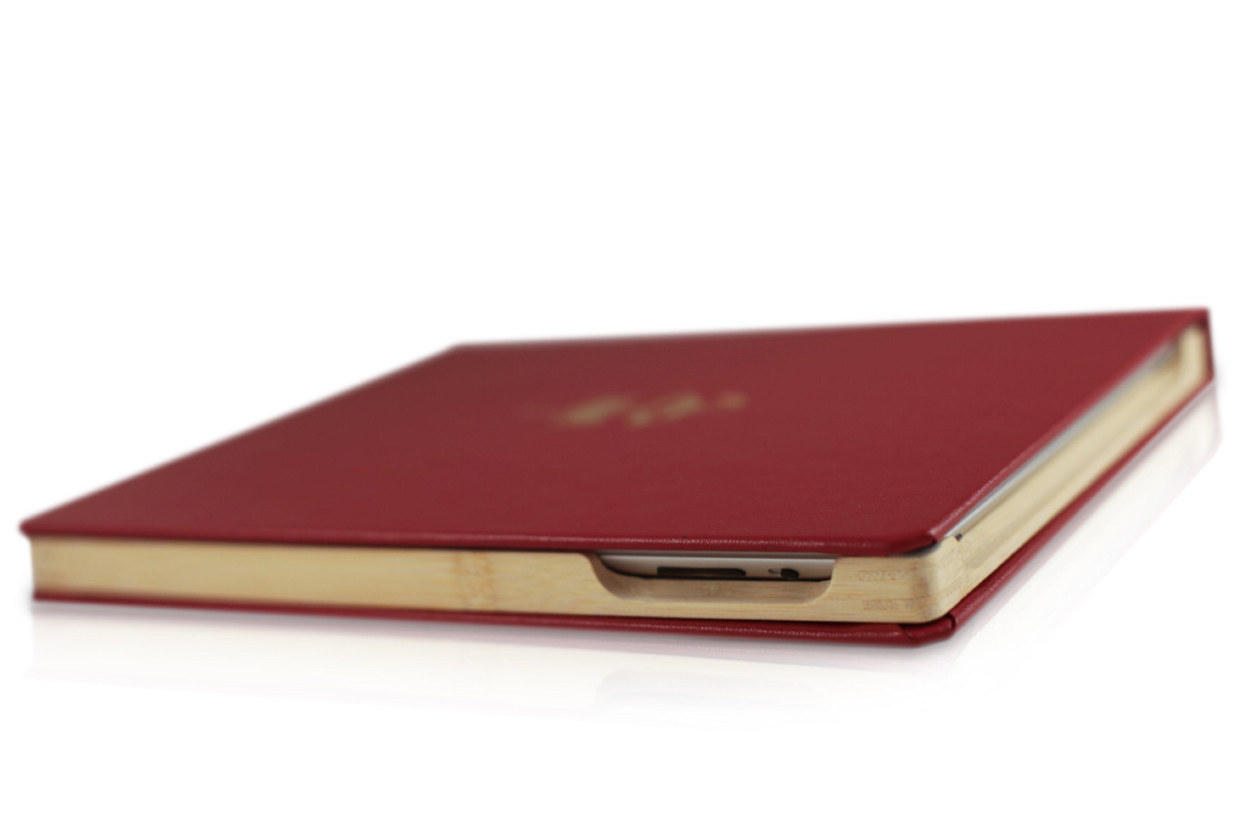 DODOcase DODOcase for iPad 2 (Morris Lessmore)