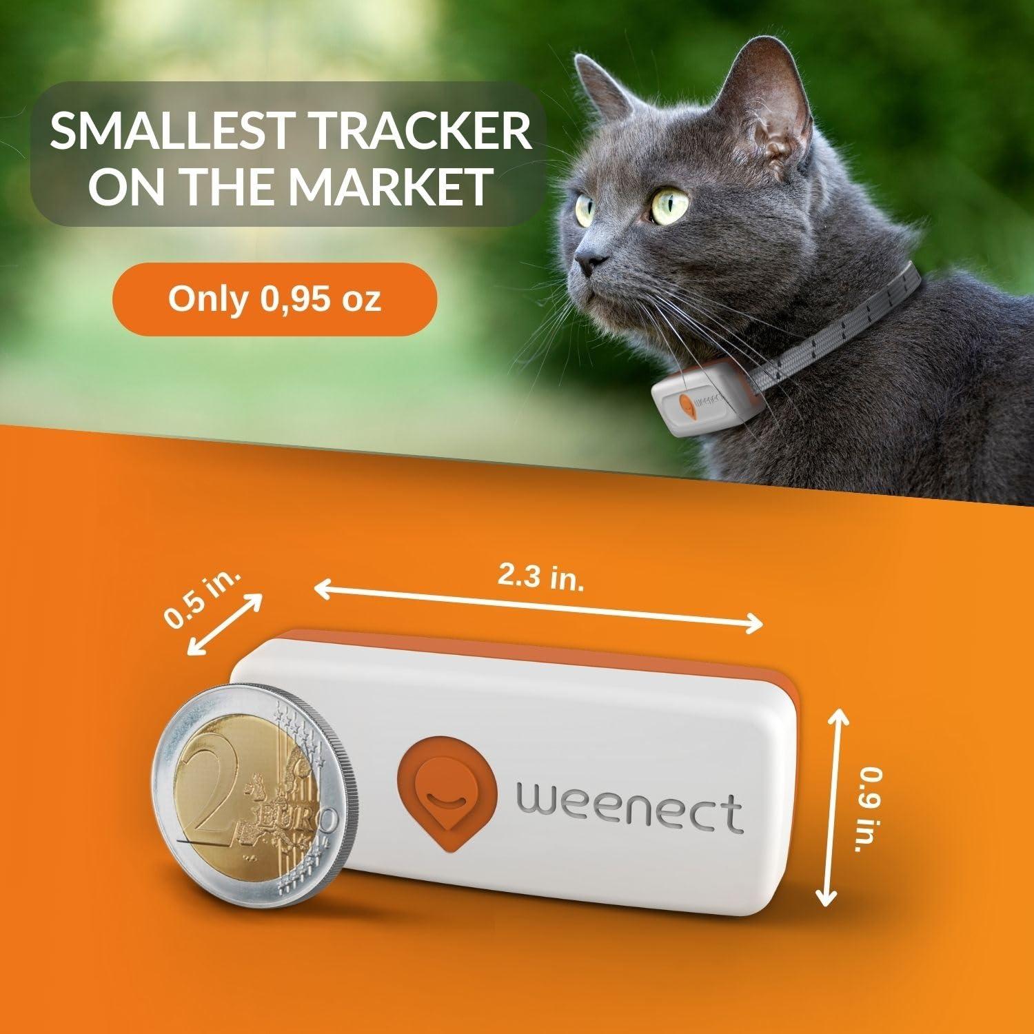 Weenect Weenect Cat XS - New GPS Tracker for Cats | Real-time Mini GPS Tracker for Cats | Smallest Model on The Market | Collar Included | Including Free 3 Months Subscription
