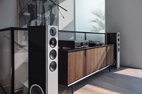 Definitive Technology Definitive Technology D15 Demand Series Modern High-Performance 3-Way Tower Speaker (Right-Channel) - Single, Black | Dual 8 Passive Bass Radiators