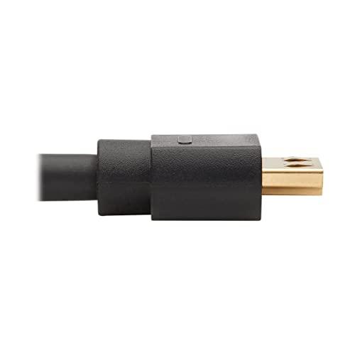 Tripp Lite Tripp Lite DisplayPort to HDMI Adapter Active DP 1.2A to HDMI 2.0 M/10ft (P582-010-4K6AE), 10 Feet